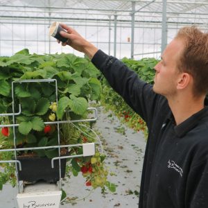 16 juni: Rondleiding incl. koffie en aardbeiengebak (13:30 - 15:00 uur)