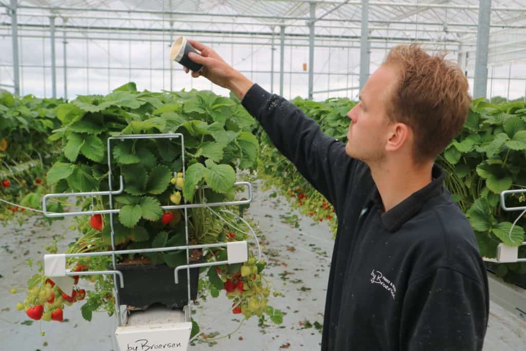 18 juni: Rondleiding incl. koffie en aardbeiengebak (13:30 - 15:00 uur)